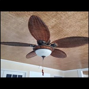 Ceiling fan